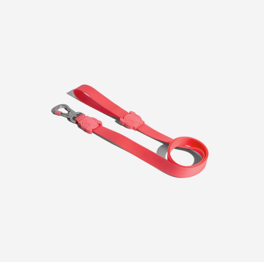 Laisse pour Chien ZEE DOG NeoPro™