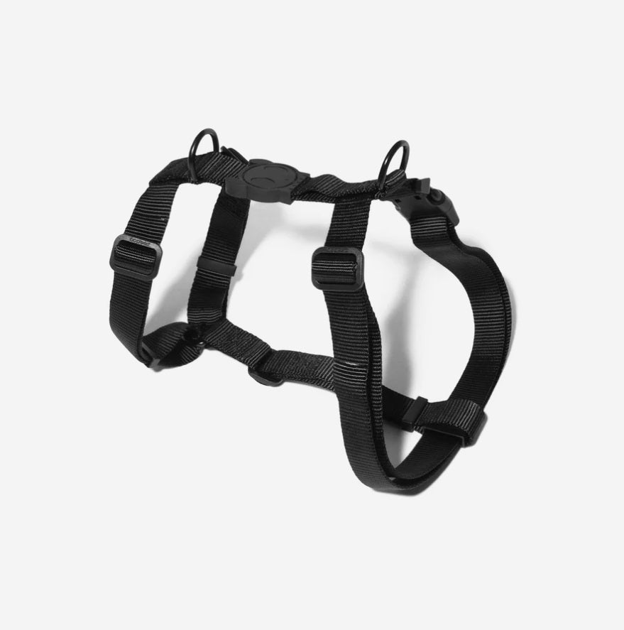 Harnais pour Chien ZEE DOG