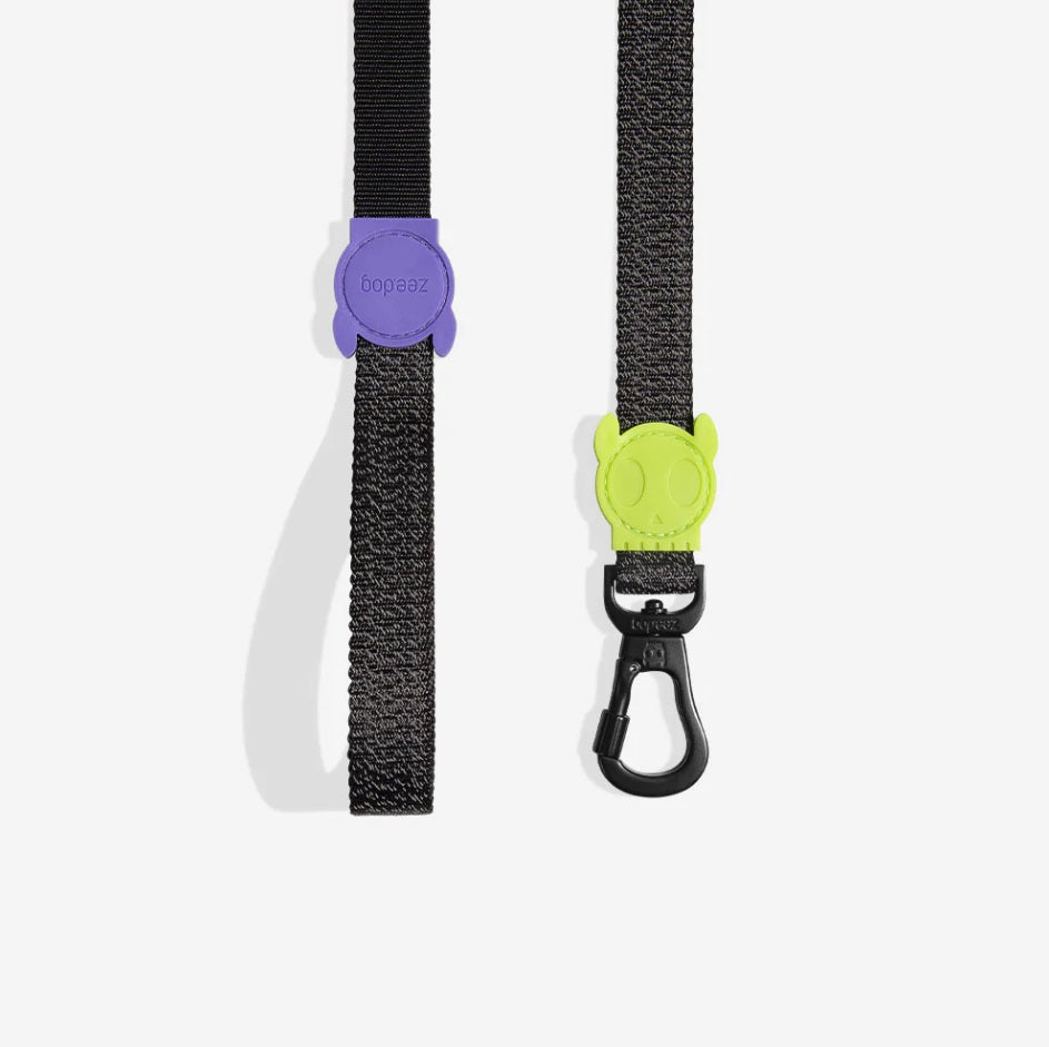 Laisse pour Chien Réfléchissante - Nox