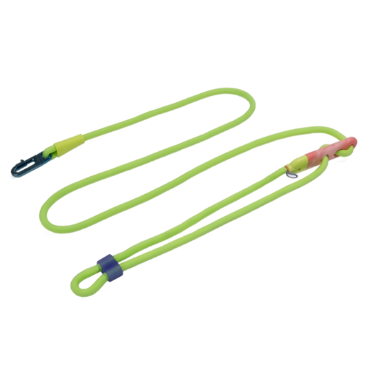 Laisse pour Chien Multipositions ZEE.DOG