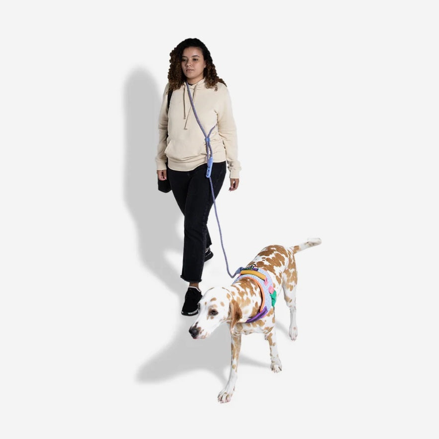 Laisse pour Chien Multipositions ZEE.DOG